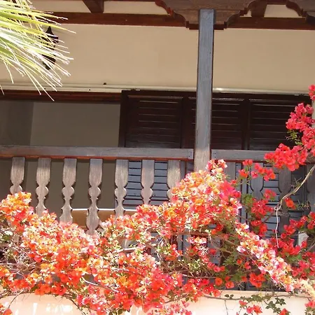 Apartment Frideriki Agia Paraskevi (Skiathos)